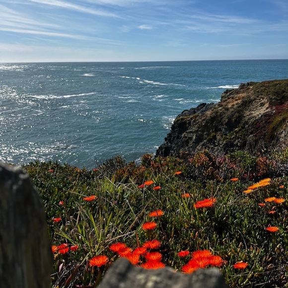 Meet your Posher, Christine - Picture 1 of 1